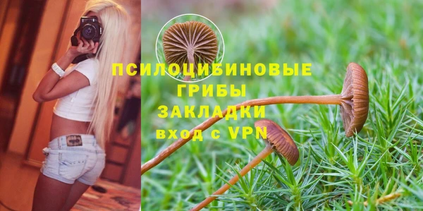 метадон Пестово