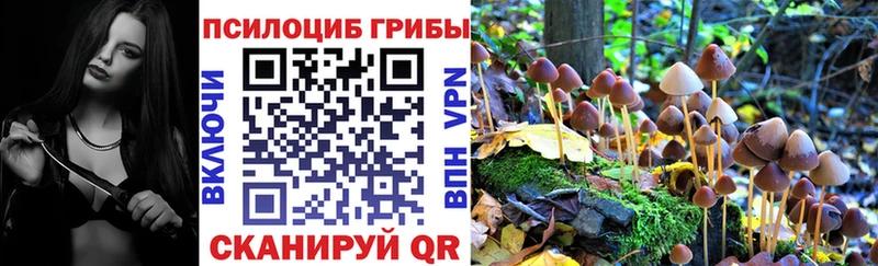 нарко площадка как зайти  Семикаракорск  Псилоцибиновые грибы Psilocybine cubensis  цены наркотик 